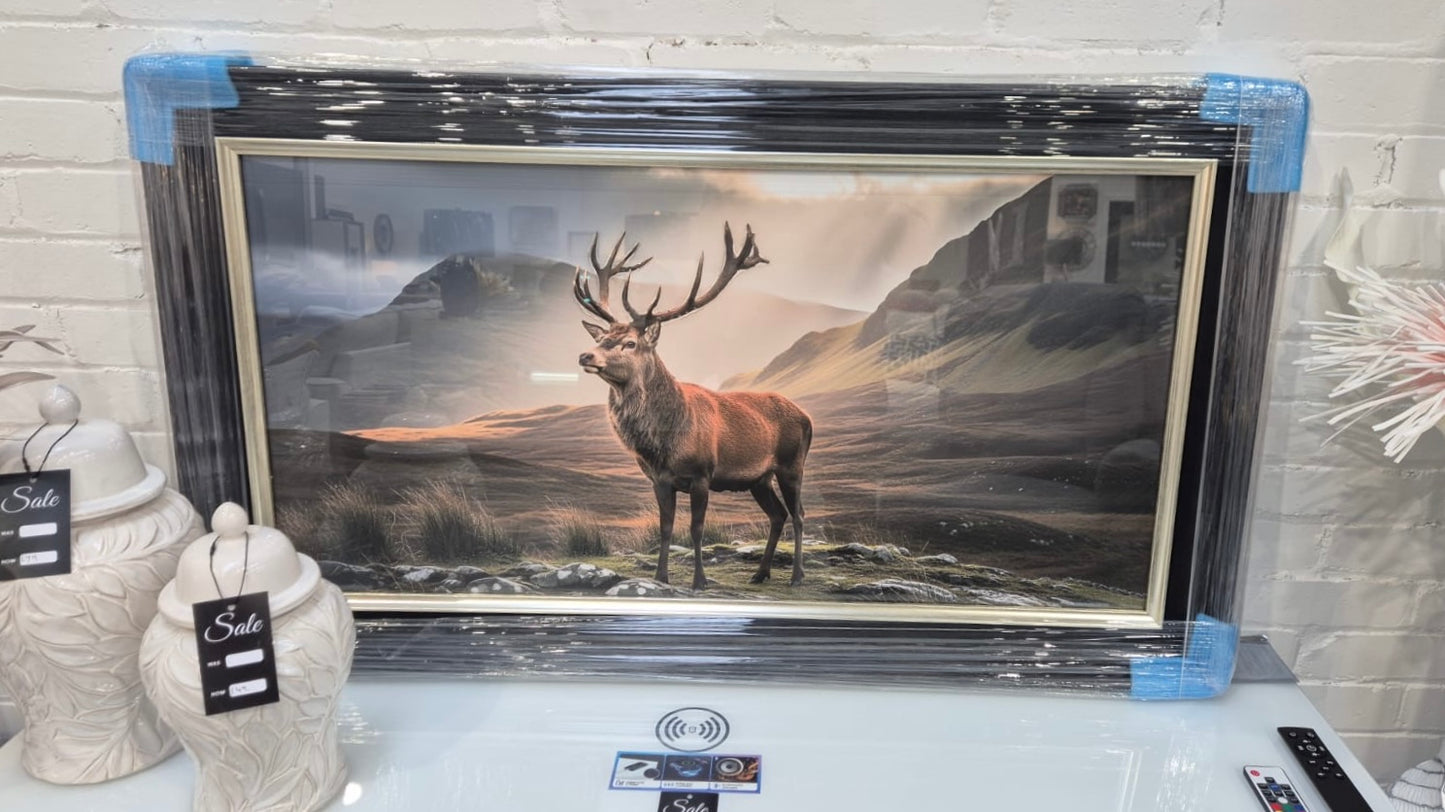 Stag in Highlands Picture