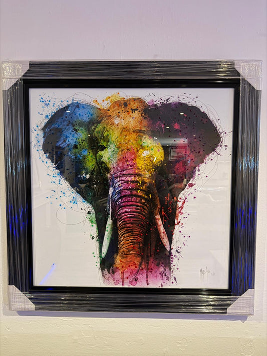 Colourful Elephant Picture