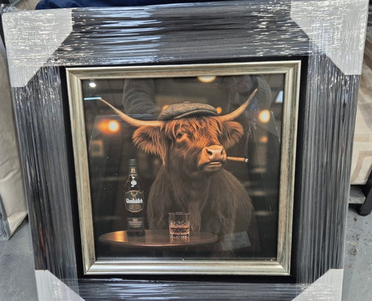 Highland Cow with Glenfiddich Picture