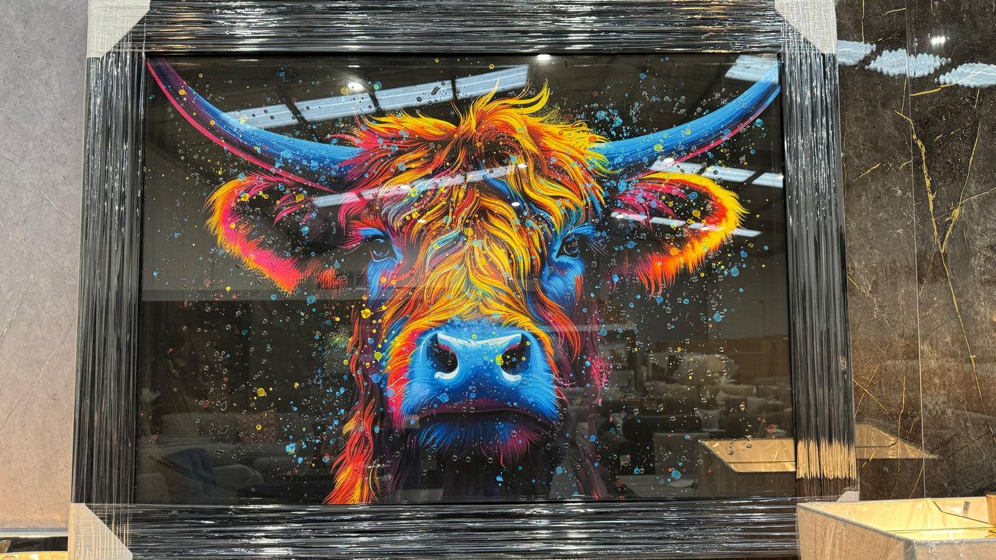 Highland Cow Colour Picture