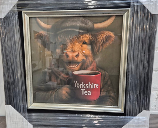 Highland Cow with Yorkshire Tea Picture