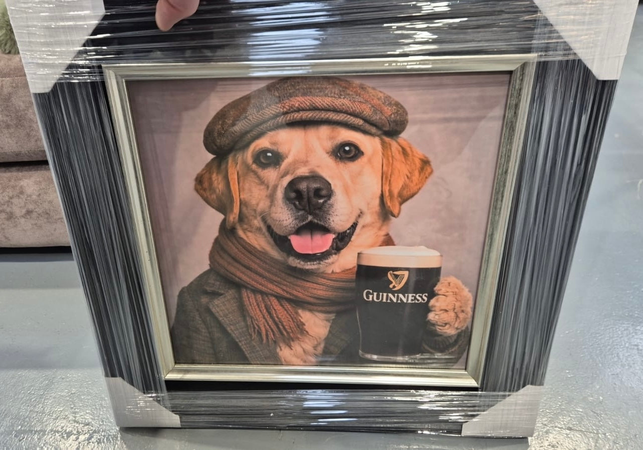 Dog with Guinness Picture