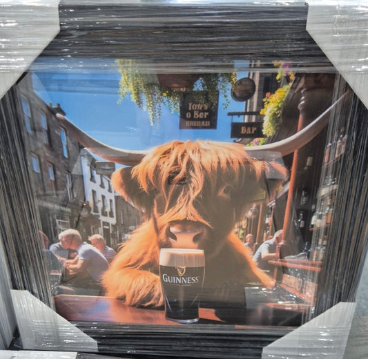 Highland Cow with Guinness Picture