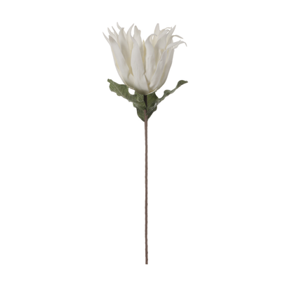 86cm Foam Protea