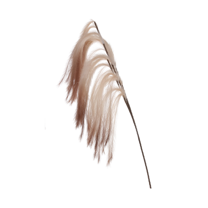 174cm Pampas Grass Spray