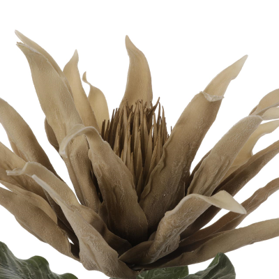 86cm Foam Protea