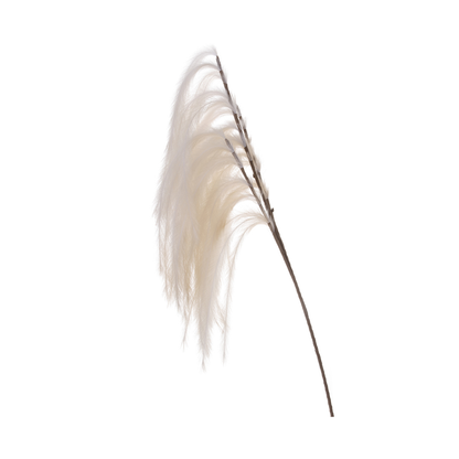 174cm Pampas Grass Spray