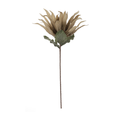 86cm Foam Protea