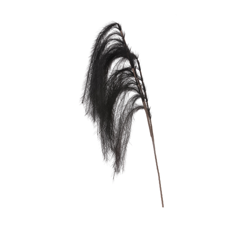 174cm Pampas Grass Spray