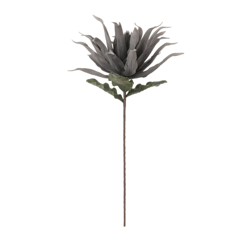 86cm Foam Protea