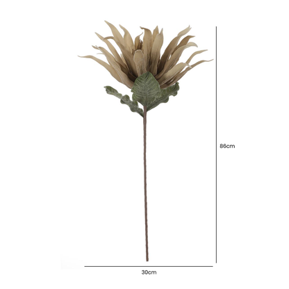 86cm Foam Protea