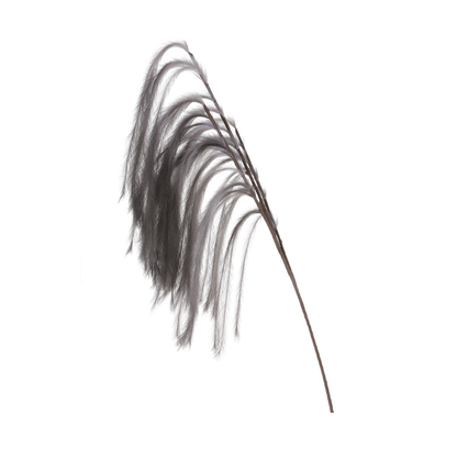174cm Pampas Grass Spray